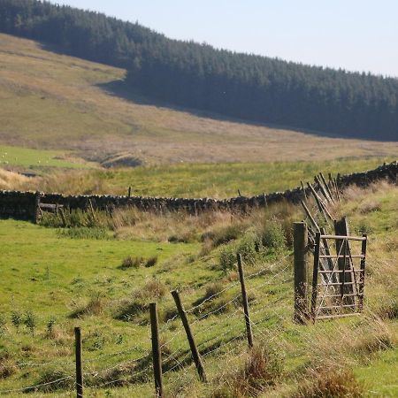 Sycamore Cottage, Sedbergh Cotterdale Esterno foto