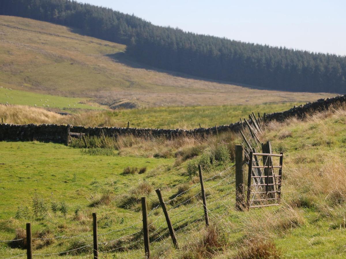 Sycamore Cottage, Sedbergh Cotterdale Esterno foto